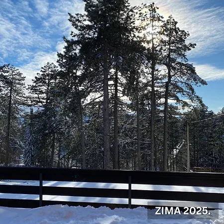 Mirjana Tara Kaludjerske Bare