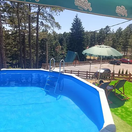 Mirjana Tara Kaludjerske Bare