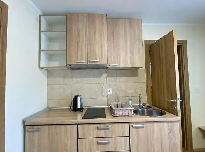 Διαμέρισμα Mirjana Tara *