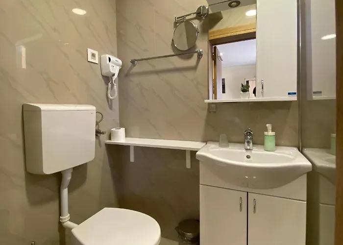 Διαμέρισμα Mirjana Tara