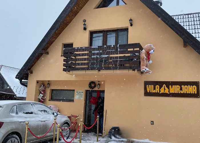 Mirjana Tara Apartment