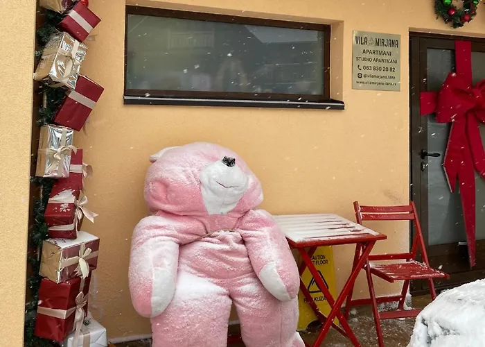 Mirjana Tara Apartment *