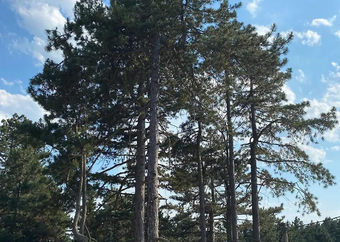 Διαμέρισμα Mirjana Tara